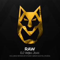 Artwork for Raw by Veljko Jovic