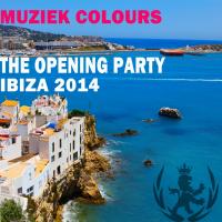 Artwork for The Opening Party Ibiza 2014 by Various Artists