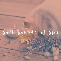 Artwork for Soft Sounds of Spa by Spa