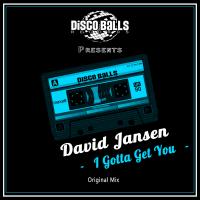 Artwork for I Gotta Get You by David Jansen