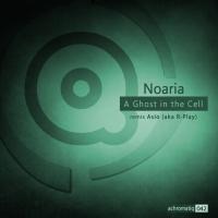 Artwork for A Ghost In The Cell by Noaria