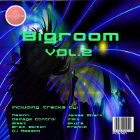 Artwork for Bigroom, Vol. 2 by Various Artists