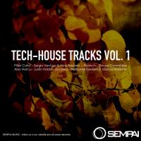 Artwork for Tech House Tracks, Vol. 1 by Various Artists