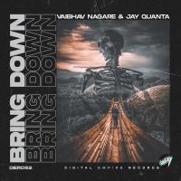 Artwork for Bring Down by Vaibhav Nagare