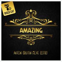 Artwork for Amazing by Anton Ishutin