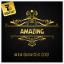 Artwork for Amazing (Original Mix)