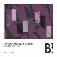 Artwork for Echoes Of Dance by Junior Sanchez