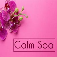 Artwork for Calm Spa by Musica Relajante