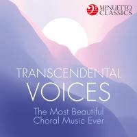 Artwork for Transcendental Voices - The Most Beautiful Choral Music Ever by Various Artists