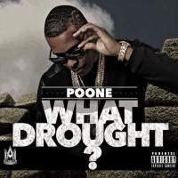 Artwork for What Drought? by Poone