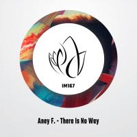 Artwork for There Is No Way by Aney F.