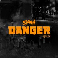 Artwork for Danger by Syph