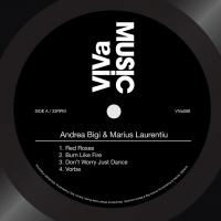 Artwork for Red Roses / Burn Like Fire / Don't Worry Just Dance / Vorbe by Andrea Bigi