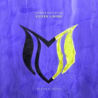 Artwork for Silver Lining by Norni