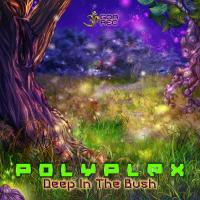 Artwork for Deep in the Bush by Polyplex