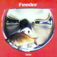 Artwork for Swim by Feeder