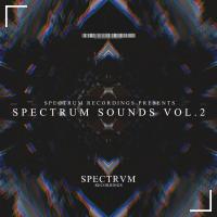 Artwork for Spectrum Sounds, Vol. 2 by Various Artists