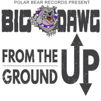 Artwork for From the Ground Up by Big Dawg