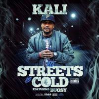 Artwork for The Streets Is Cold (feat. Bugsy) by Kali