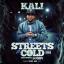 Artwork for The Streets Is Cold (feat. Bugsy)