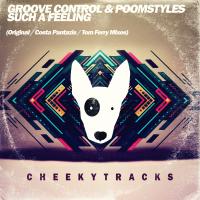 Artwork for Such A Feeling by Groove Control