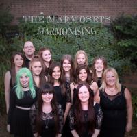 The Marmosets