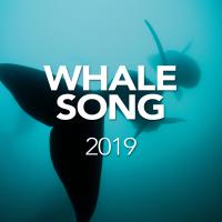 Artwork for Whale Song 2019 by Whale Song