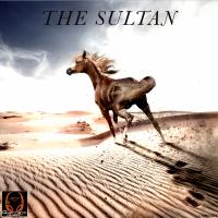 Artwork for The Sultan by Dionigi