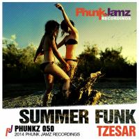 Artwork for Summer Funk by Tzesar