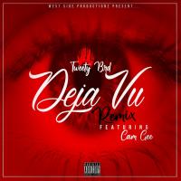 Artwork for Deja Vu (Remix) [feat. Cam Gee] by Tweety Brd