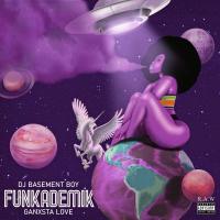 Artwork for Funkademik by DJ Basement Boy