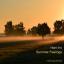Artwork for July (Original Mix)
