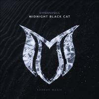 Artwork for Midnight Black Cat by HyperPhysics