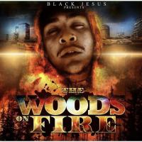 Artwork for The Woods On Fire by Black Jesus