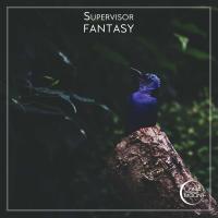 Artwork for Fantasy by Supervisor