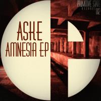 Artwork for Amnesia by ASKE