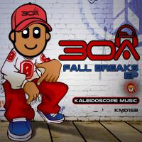 Artwork for Fall Breaks by DJ30A