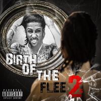 Artwork for Birth of the Flee 2.5 by Willy Flee