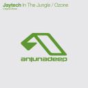 Artwork for In The Jungle