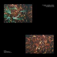 Artwork for Bad Vibes: Rarities + Extras by Shlohmo