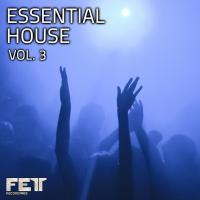 Artwork for Essential House, Vol. 3 by Various Artists