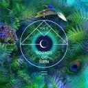 Artwork for Nunca Estabas (Original Mix)