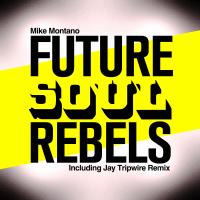 Artwork for Future Soul Rebels by Mike Montano