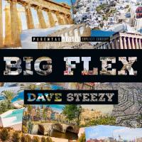 Artwork for Big Flex by Dave Steezy