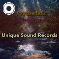 Artwork for Psychedelic Adventure by Various Artists