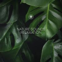 Artwork for Nature Sounds Relaxation by Sleep Music