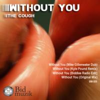 Artwork for Without You by Sean Biddle