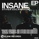 Artwork for Insane (Original Mix)