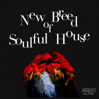 Artwork for New Breed of Soulful House by Various Artists