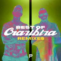 Artwork for Crazibiza Remixes by Various Artists